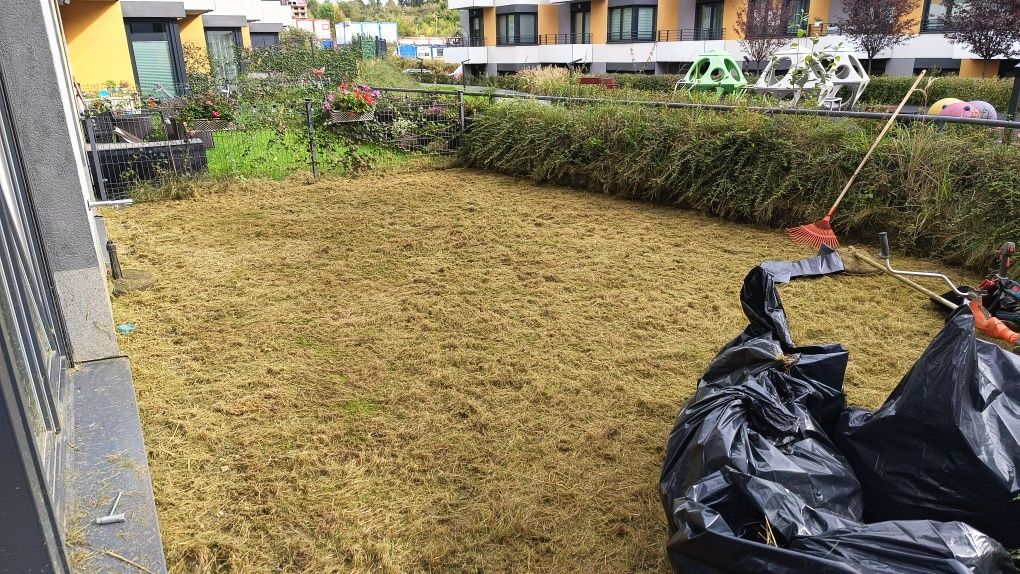 Koszenie trawy kosami spalinowymi, koszenie przydomowych trawników