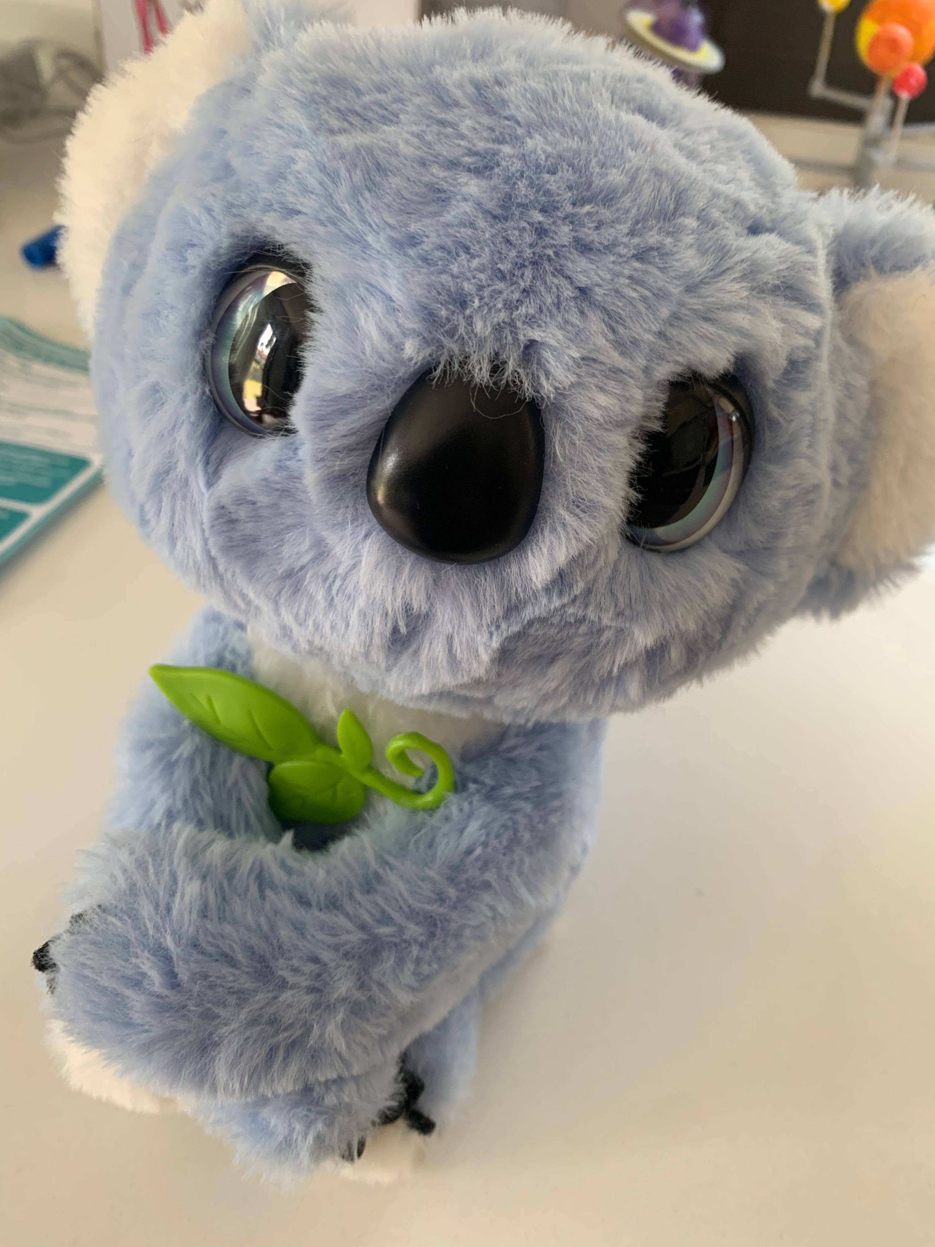 Coala fuzzy friends