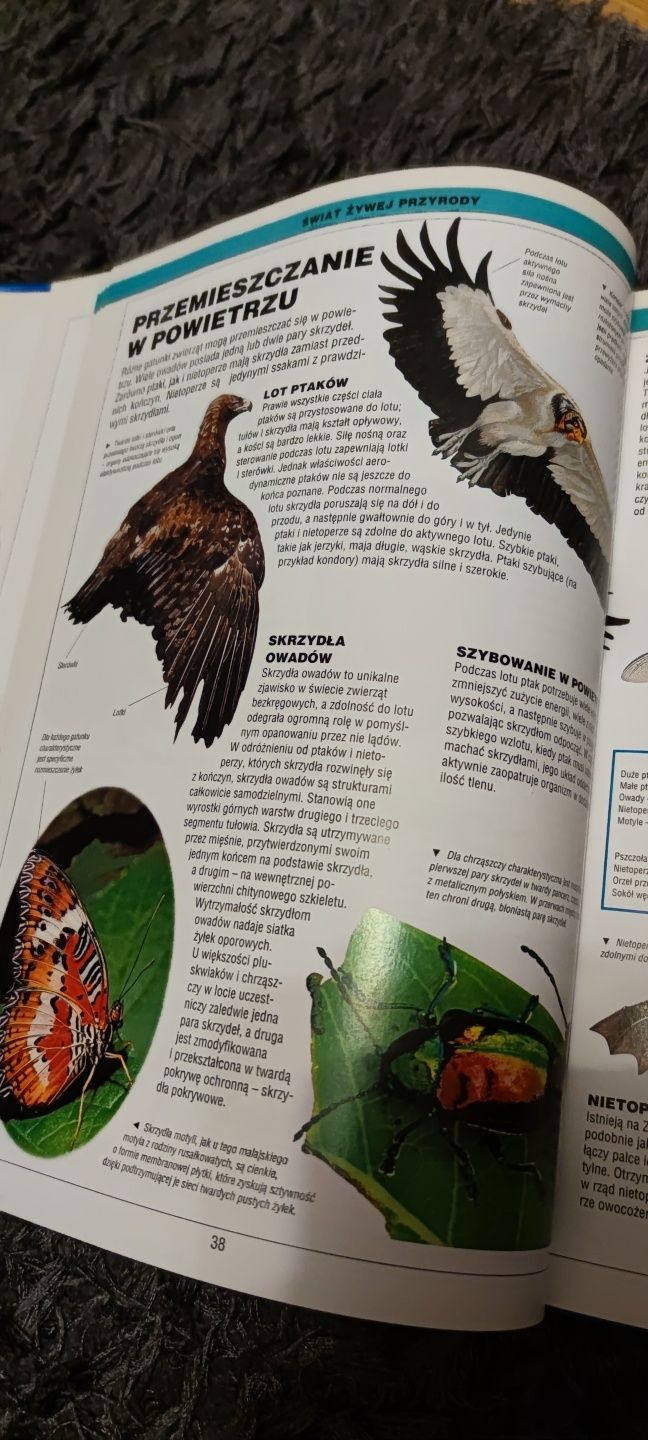 Encyklopedia dla dzieci Przyroda ilustrowana prezent