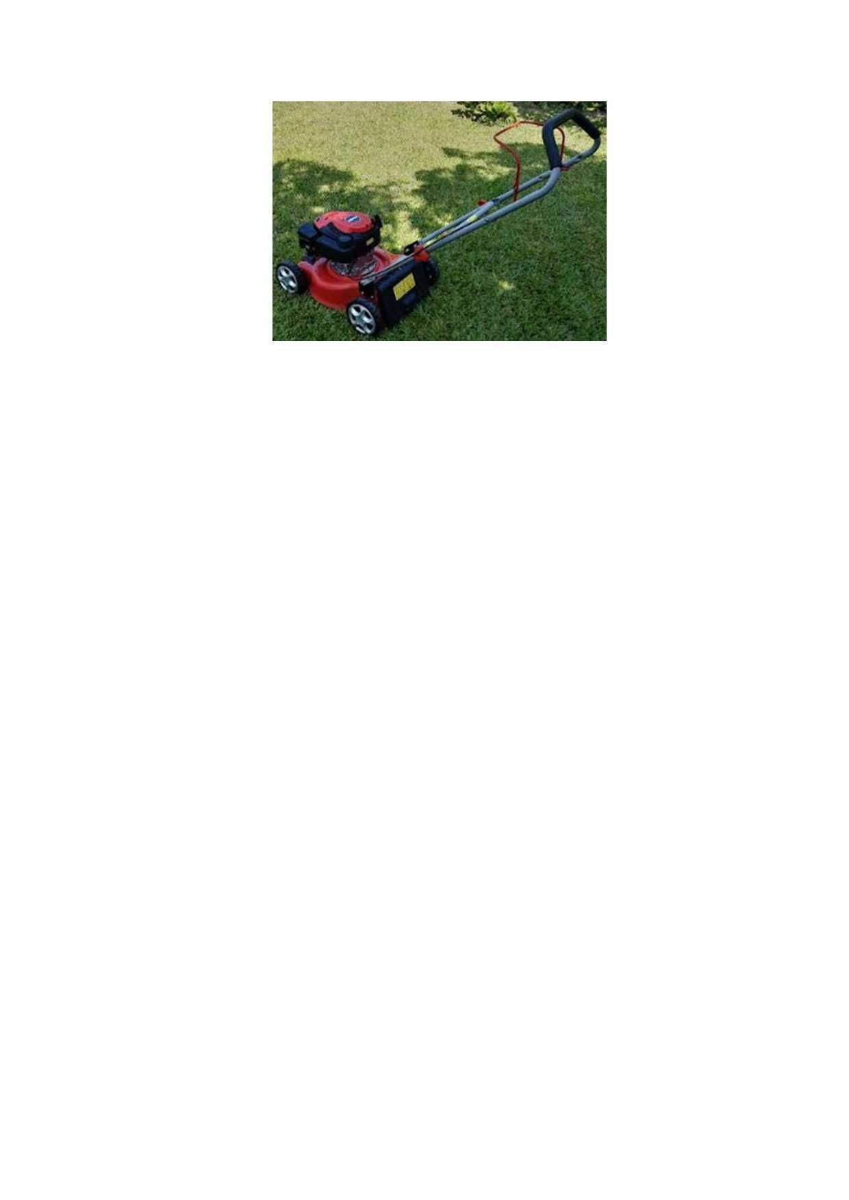 CORTA RELVAS HECHT 540 gasolina 127cc e 3,5HP - 150,00€