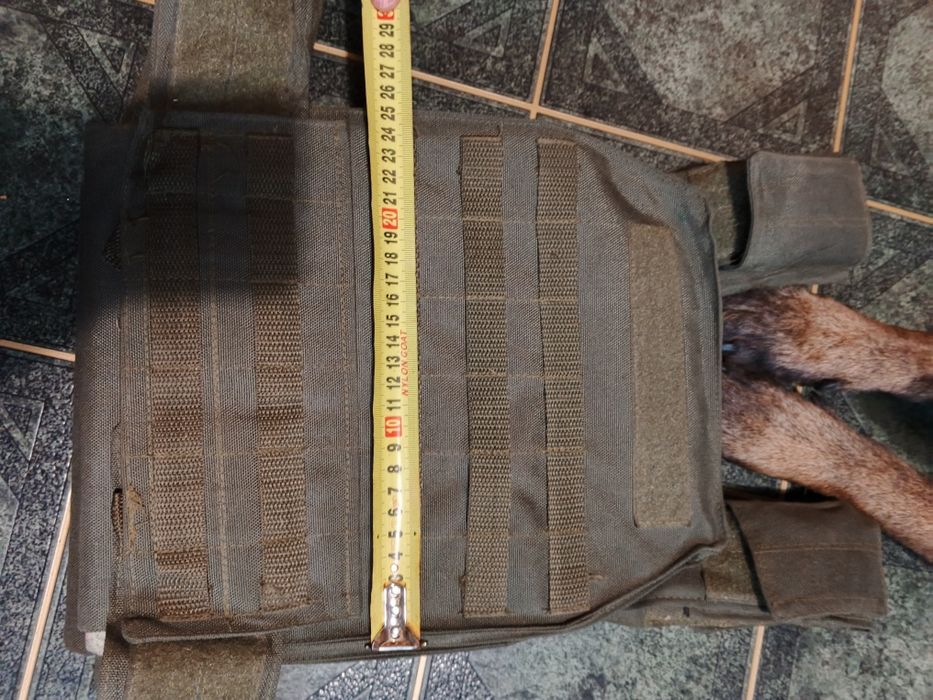 Плитоноска зелена