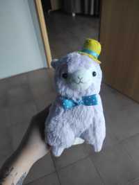 Alpaka lama alpaca cute kawaii alpacasso jfashion