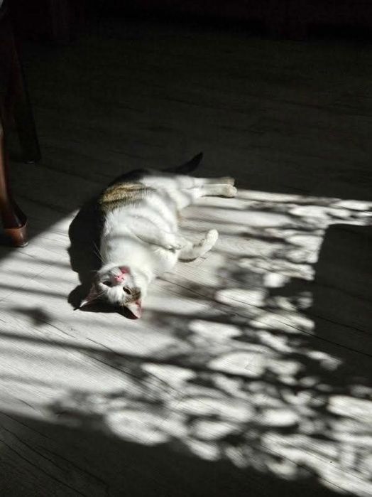 Czy możemy liczyć na cud?..