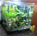 Kit Aquário EHEIM AquaStyle 35 em muito bom estado + ofertas.