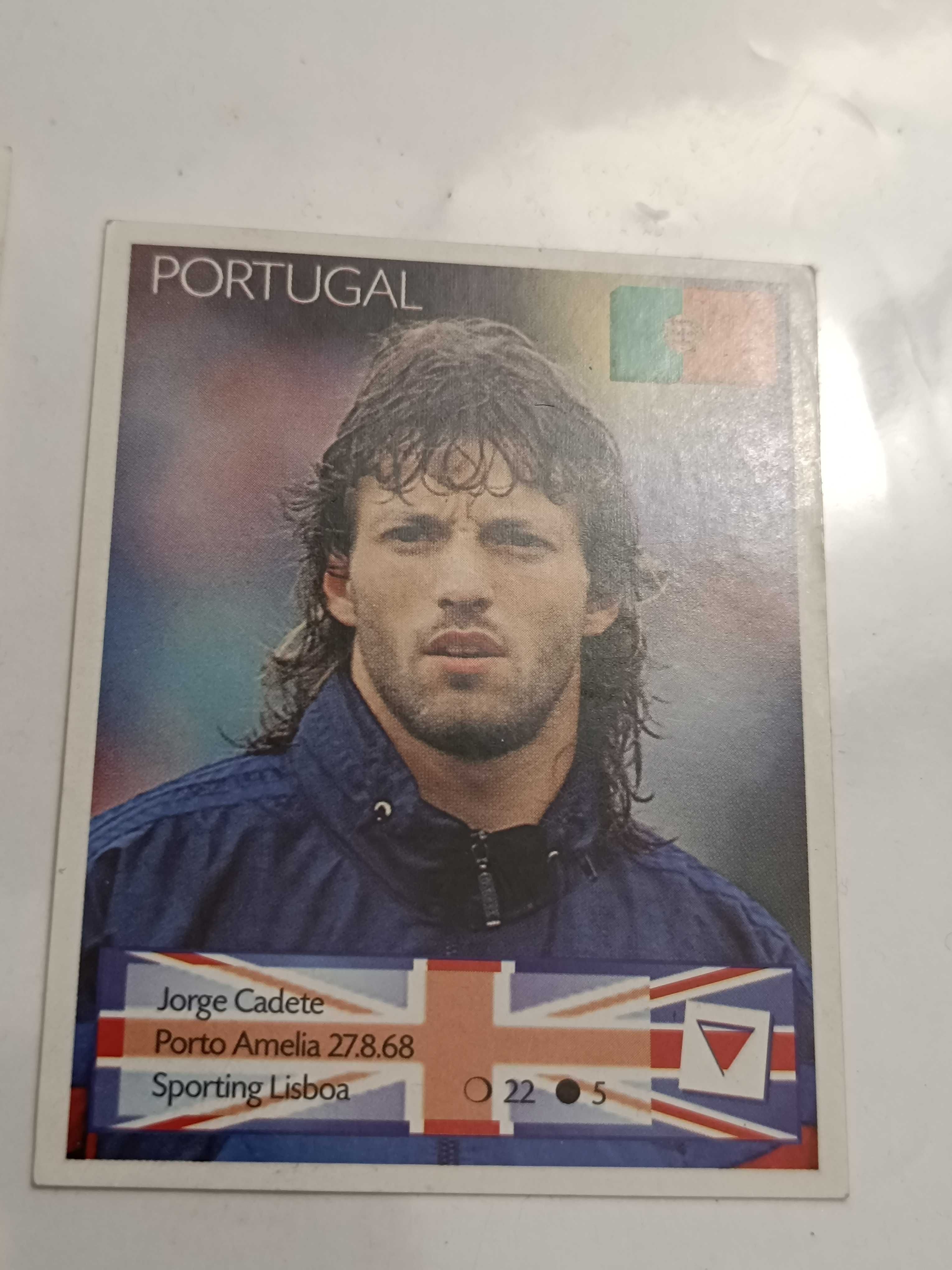 3 Autocolantes e Figura da Seleção Nacional