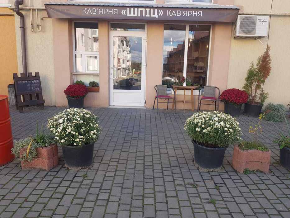 нежитлове приміщення (кафе), с. Ремені