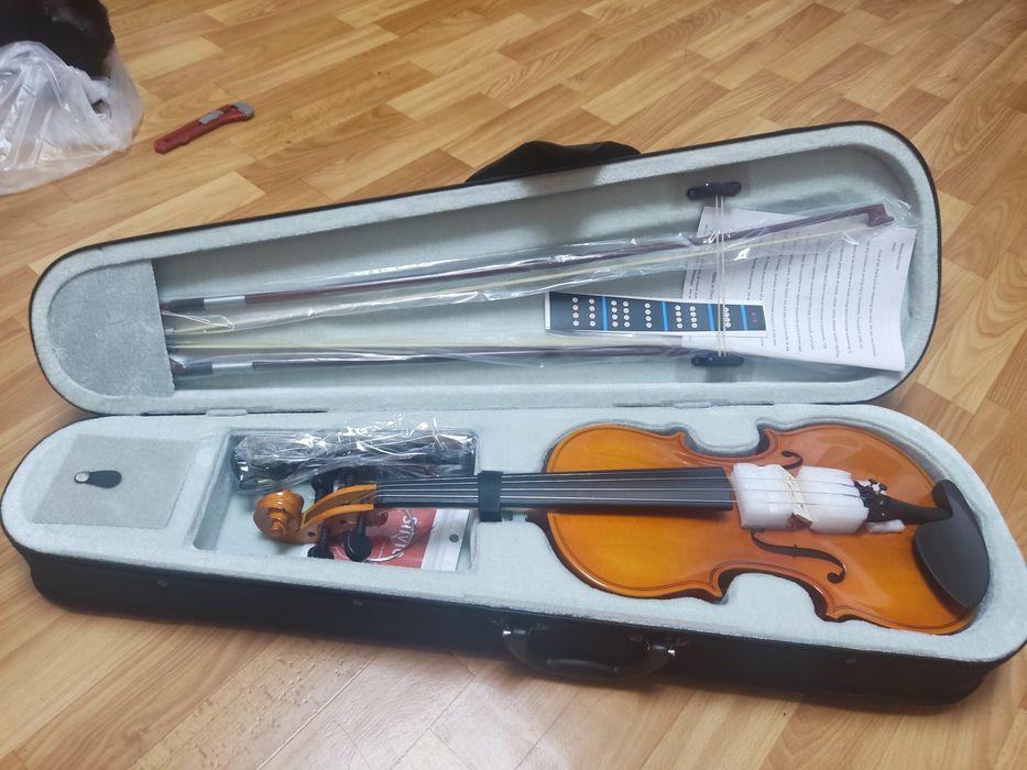 Скрипка 4/4 сільвіо