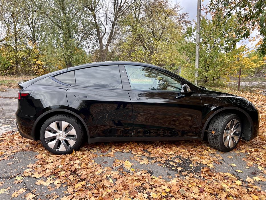 Тесла у Tesla Y 2024