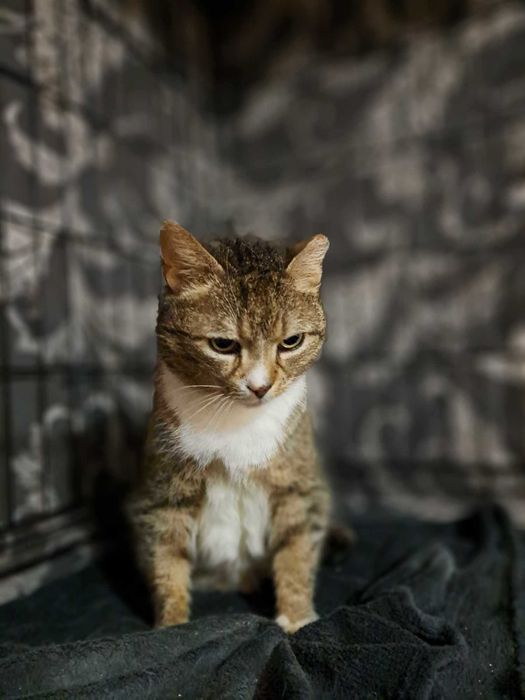 BÓJKA z megacolon - łzy napływają mi do oczu gdy o niej myślę :(