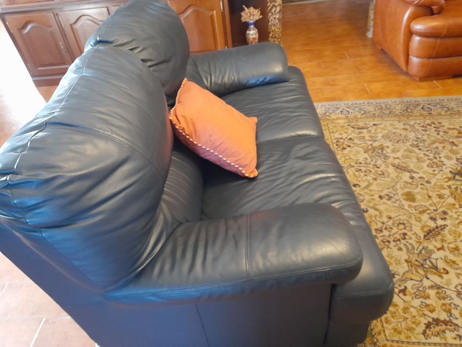 Vendo dois sofas