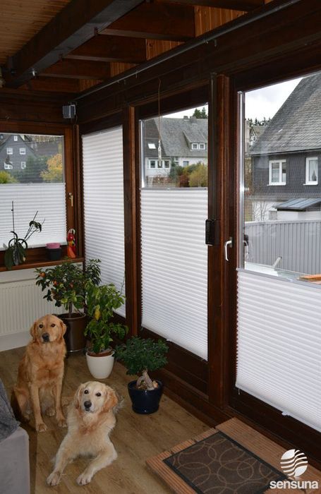 Жалюзи плиссе, ролеты тканевые, римские шторы Харьков и область