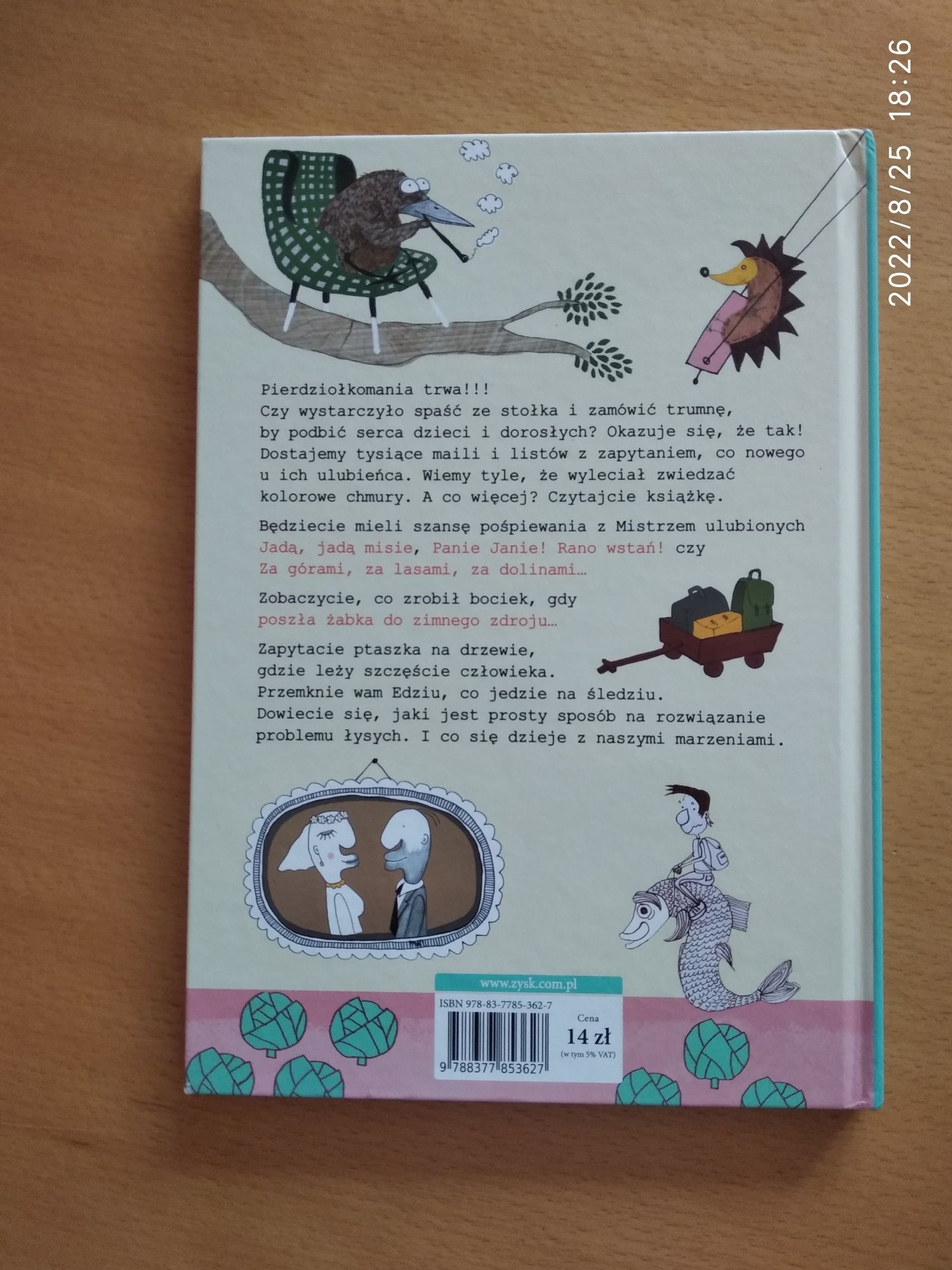 Książka Sny i Tobołki pana Pierdziołki stan bardzo dobry