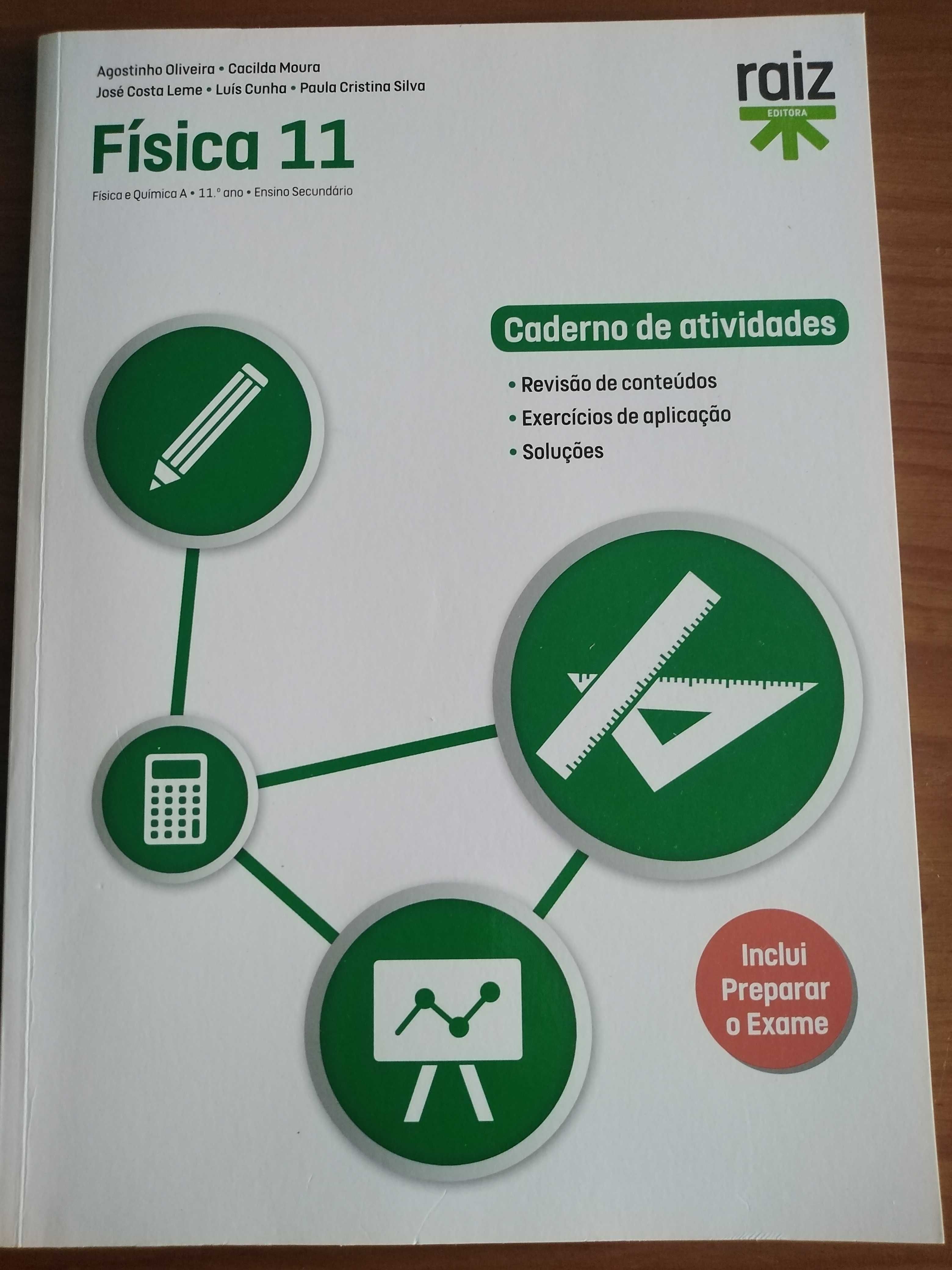 Fisica e Quimica 10º e 11ºano- Cadernos de atividades (como novos)