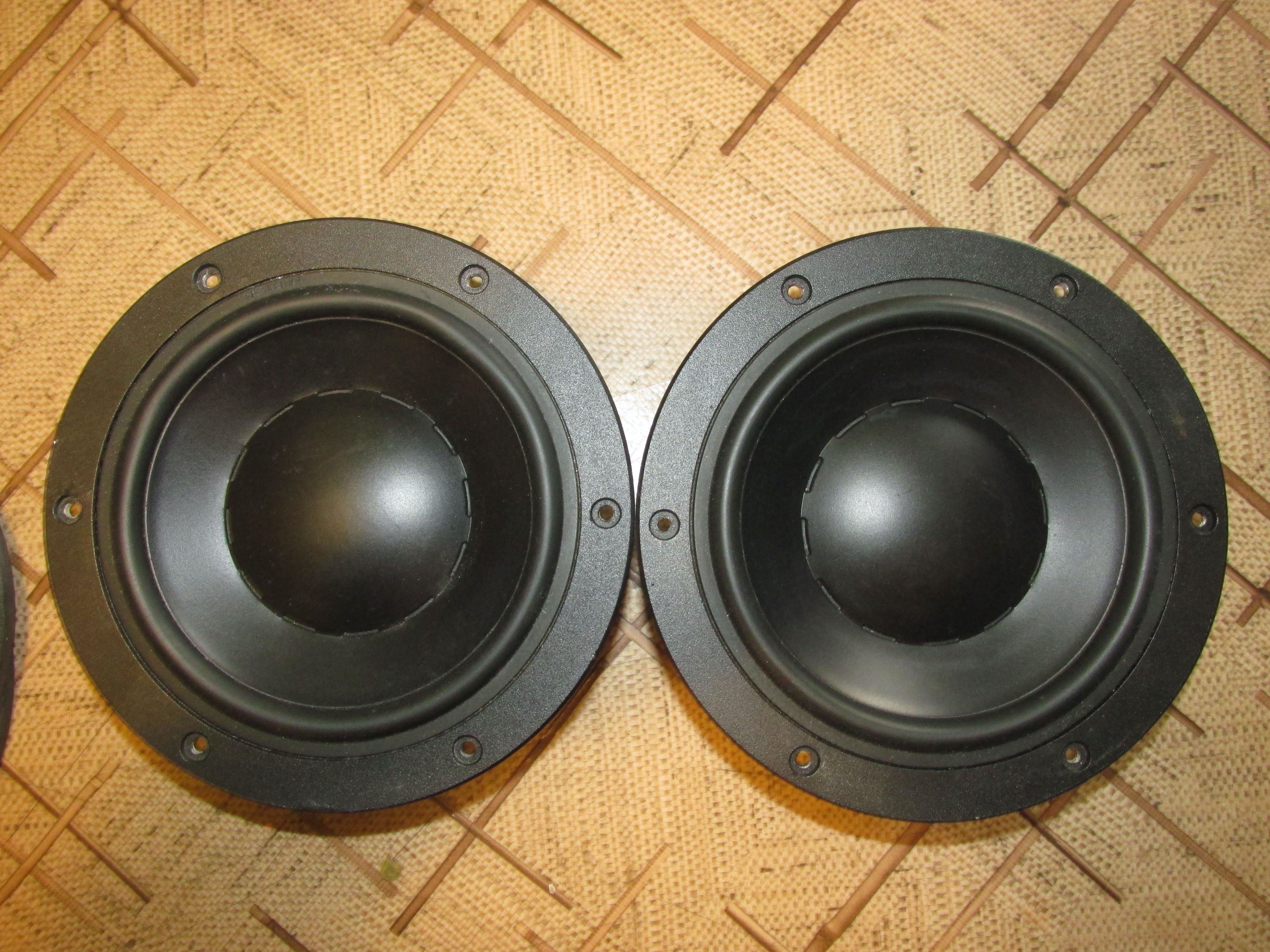 Динамики DYNAUDIO MW-160