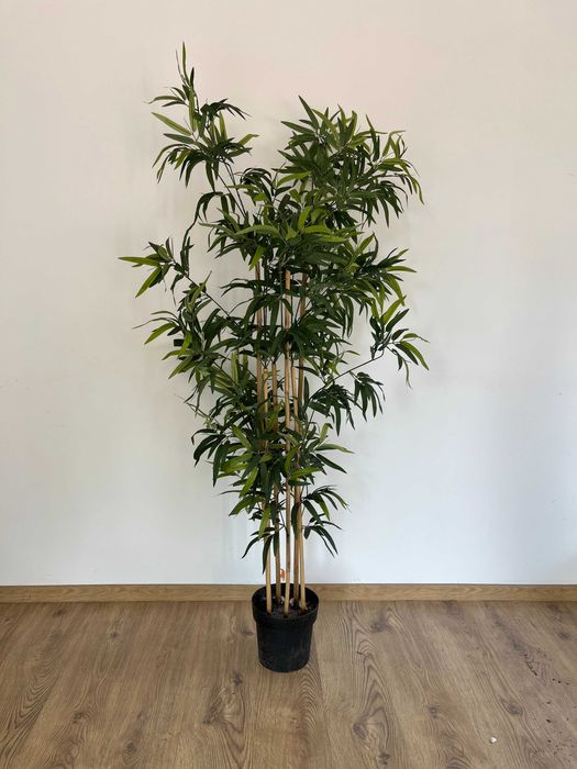 Sztuczne drzewko typu "bambus" 170cm