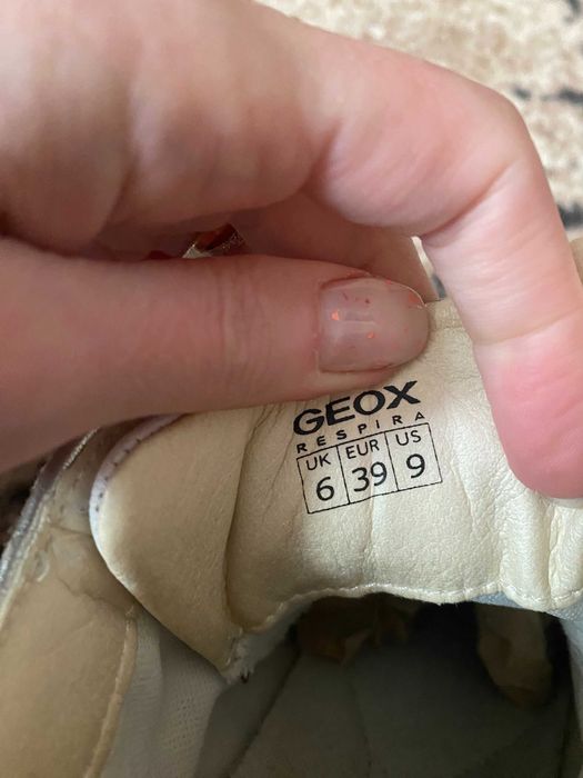 кросівки    Geox