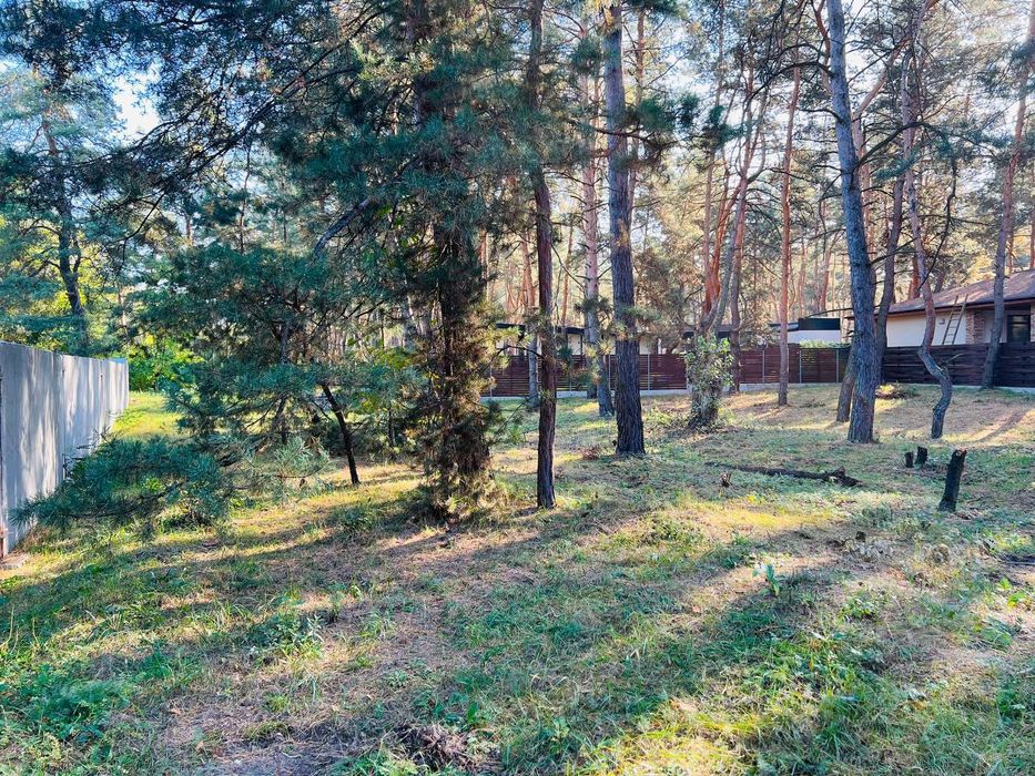 Продам участок в сосновом лесу в Обуховке закрытая территория лес река