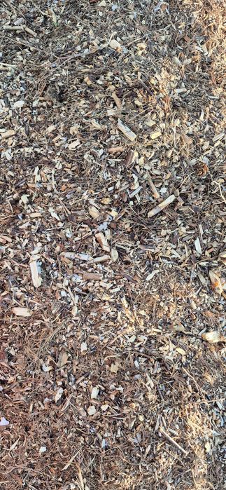 Zrębka mieszana, opałowa do ściółkowania, biomasa