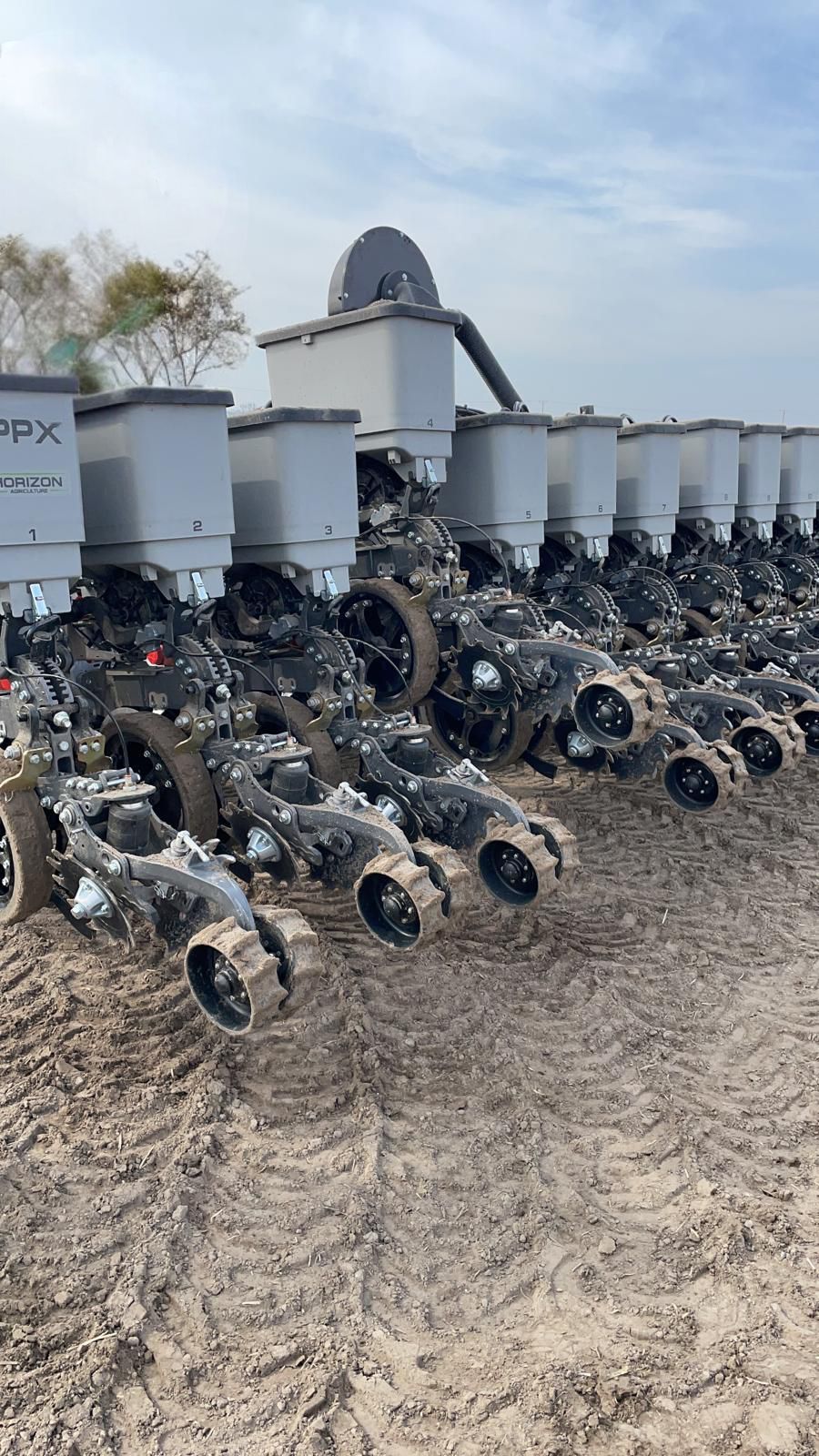 Punktowy siew rzepaku, rzepak, strip till, no-till, a także po orce