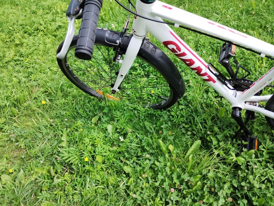 Rower GIANT ESCAPE JUNIOR na kołach 24" - rama aluminium - Shimano 1x7