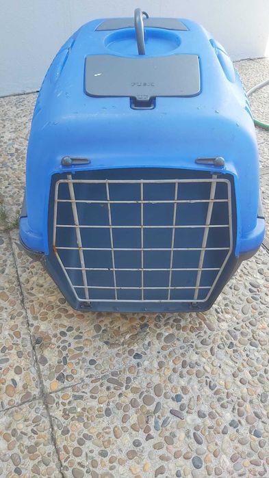 Transportadoras animais domésticos