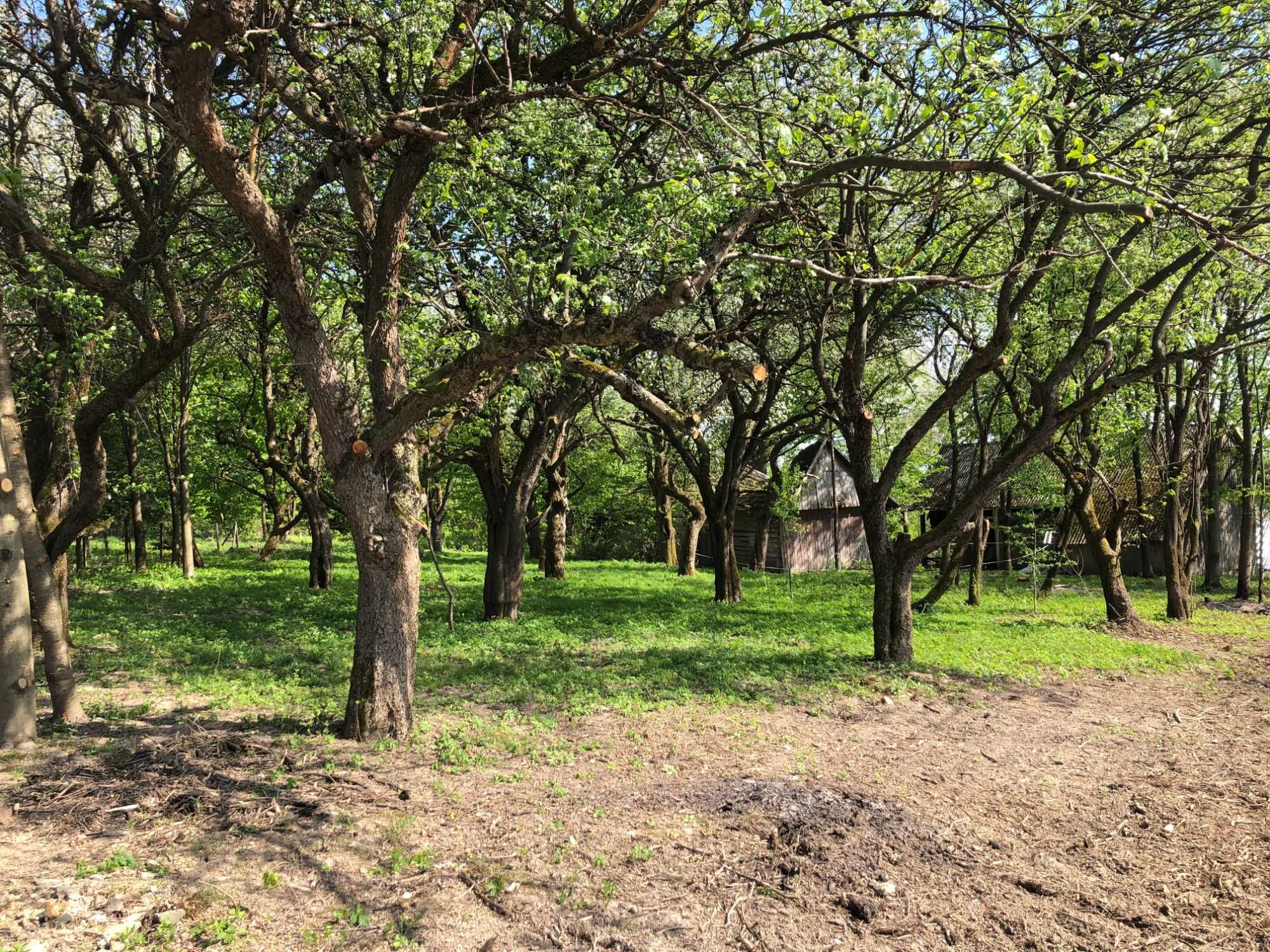 D. budowlana pog. Dynowskie 0,39 ha wraz z dom. do rozbiórki -Widaczów