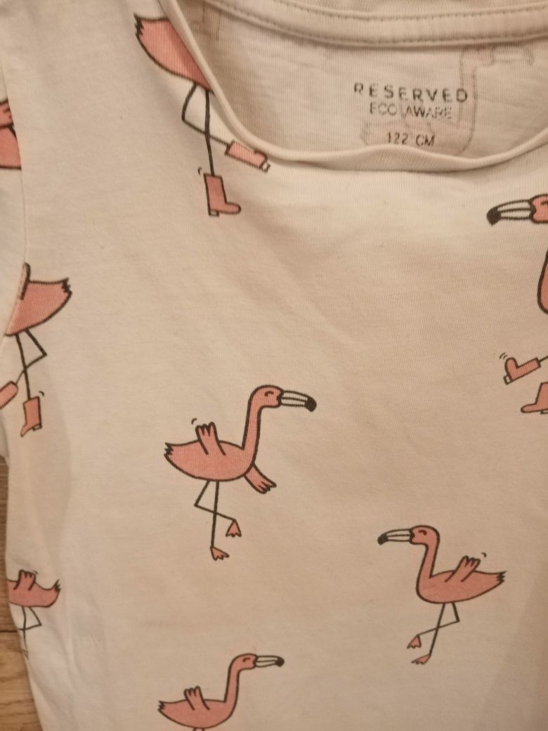 T-shirt Reserved 122 we flamingi