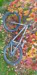Dirt street, bmx custom (ns, octaneone, dartmoor)