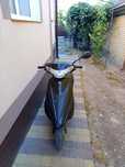 Скутер Suzuki address v50