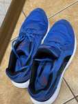 Puma Descendant