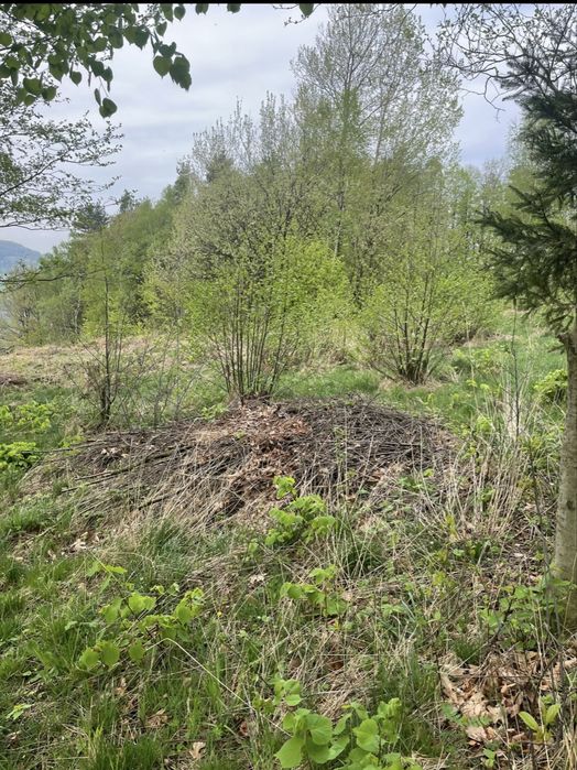 Sprzedam działkę budowlaną BRENNA