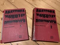 Anatomia zwierząt domowych Anatol Akajewski
