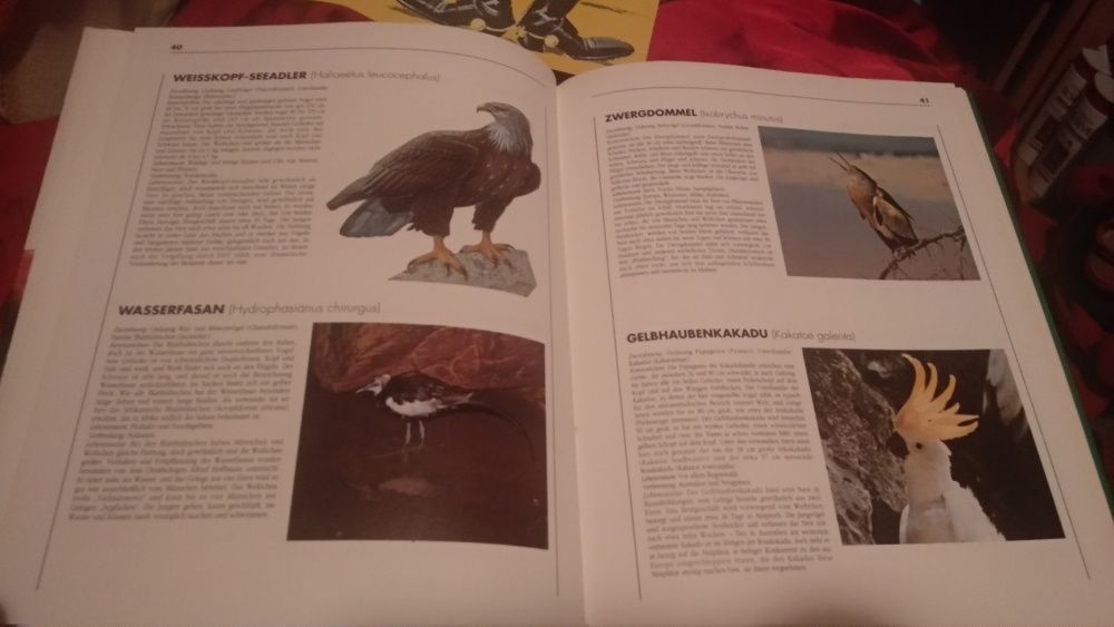 Vögel Moewig книга атлас немецкий язык птицы отличное состояние