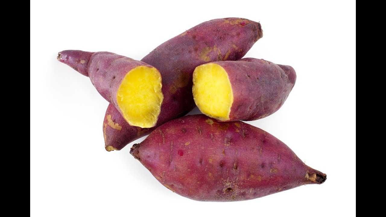 Rama batata doce para plantar