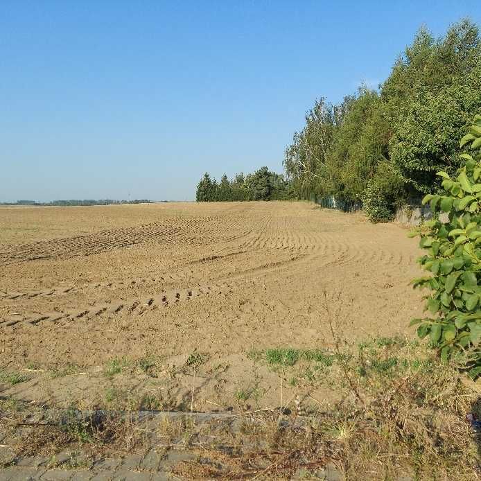 Działki budowlane Żalno