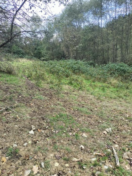 Dzialka Rolno-budowlana 33ar