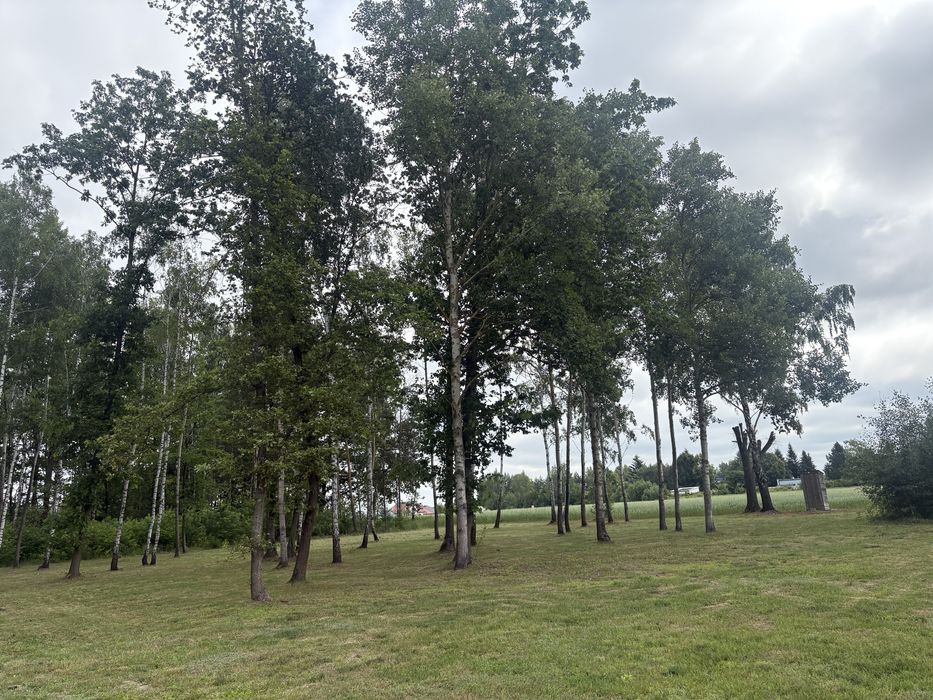 Piękna działka 1700m2 ze starodrzewem