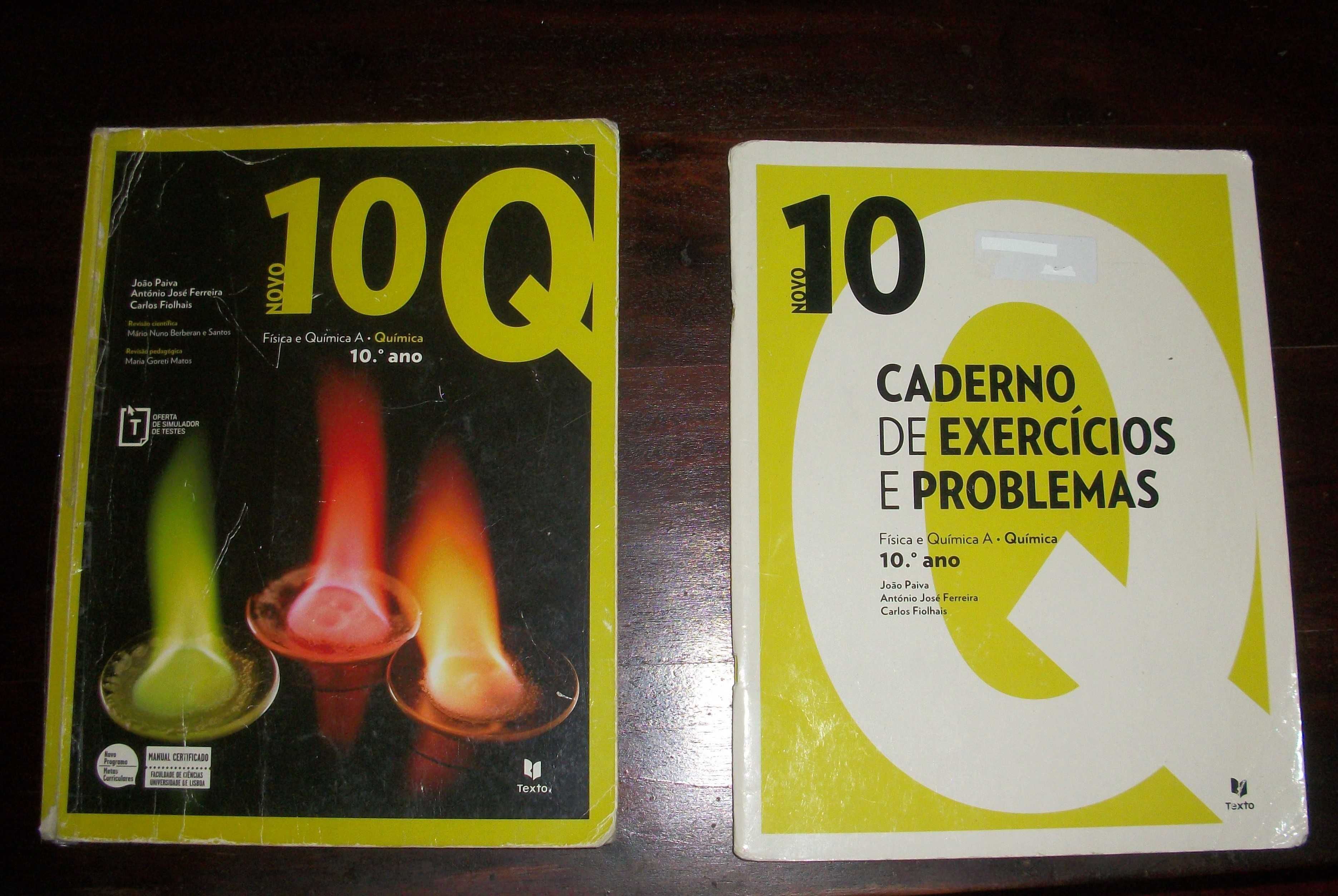 Novo 10°ano Química Manual e Caderno de Exercícios e Problemas