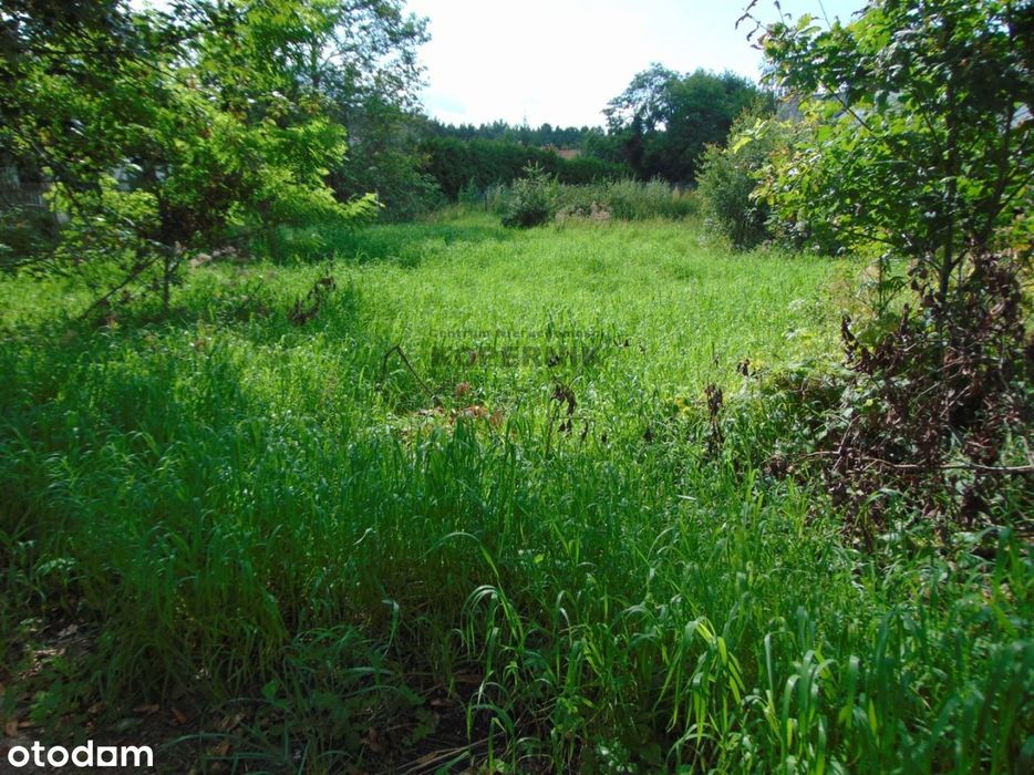 Działka budowlana Papowo Osieki ul Leśna
