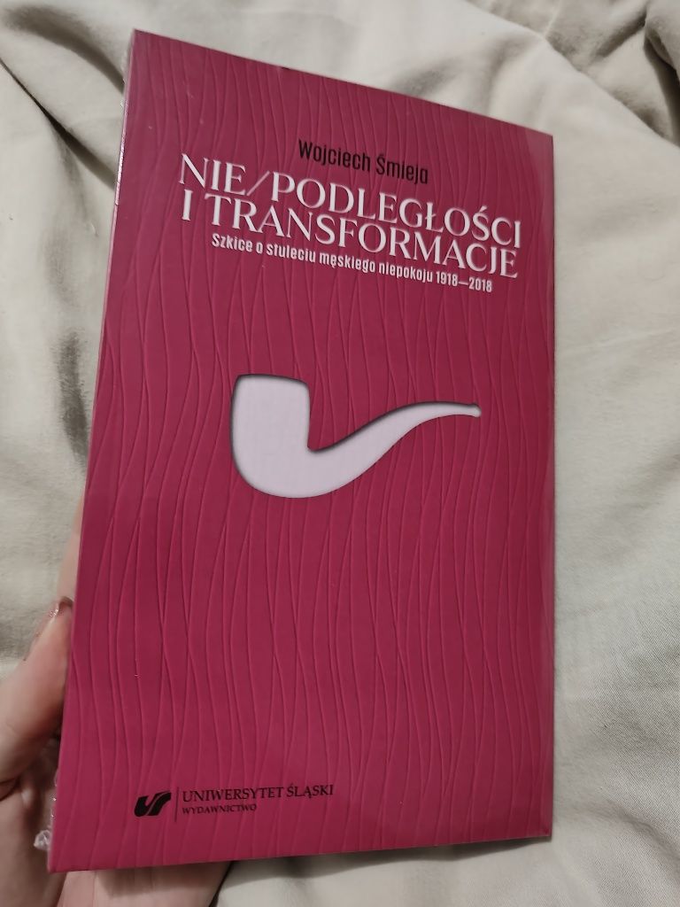 Nie/podległości i transformacje. Szkice o stuleciu męskiego niepokoju