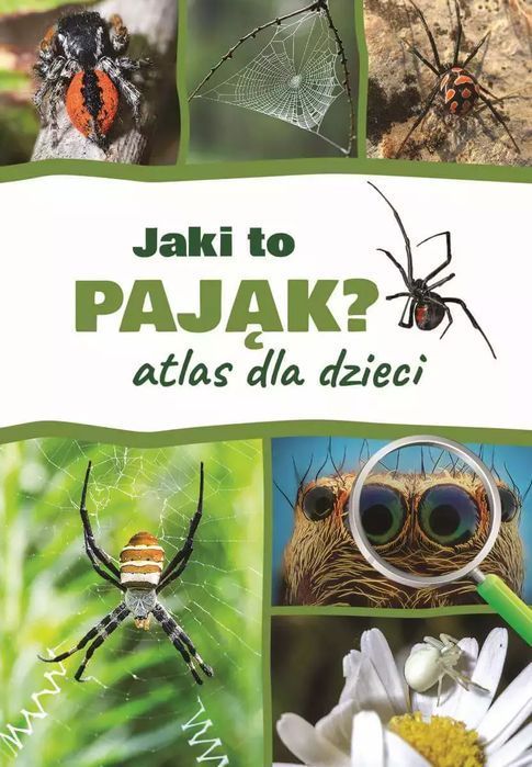 Jaki To Pająk? Atlas Dla Dzieci Sbm
