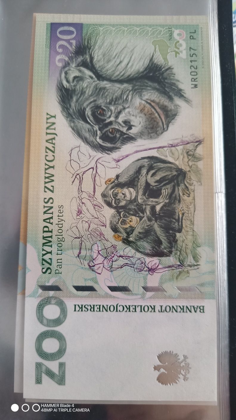 Zoo Wrocław banknot