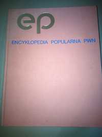 Encyklopedia popularna PWN