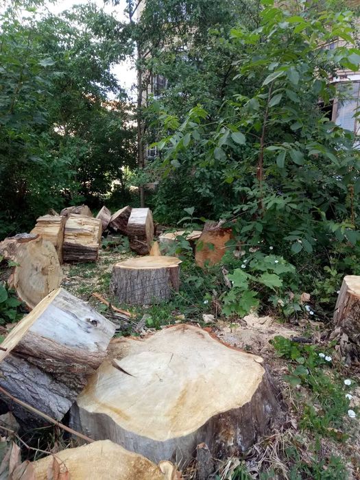 Видалення. Валка. Спилювання небезпечних, аварійних дерев