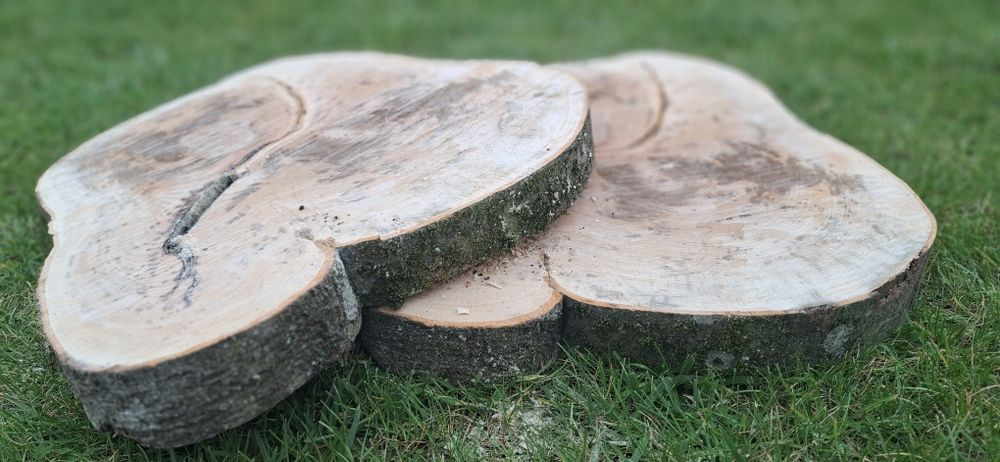 Plastry drewna bukowego