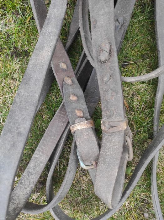 Wojskowe lejce skórzane