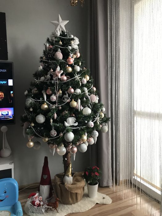 Choinka sprzedam 2 w 1