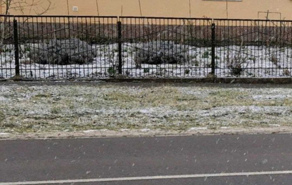 Металевий паркан