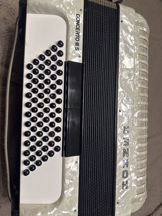 Acordeão em otimo estado