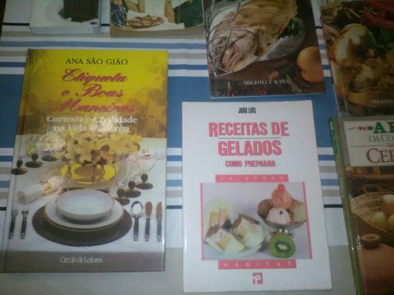 Conjunto de 28 Livros Diversos Culinária/Gastronomia